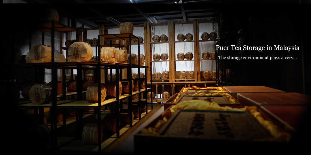 Puer Tea Storage in Malaysia