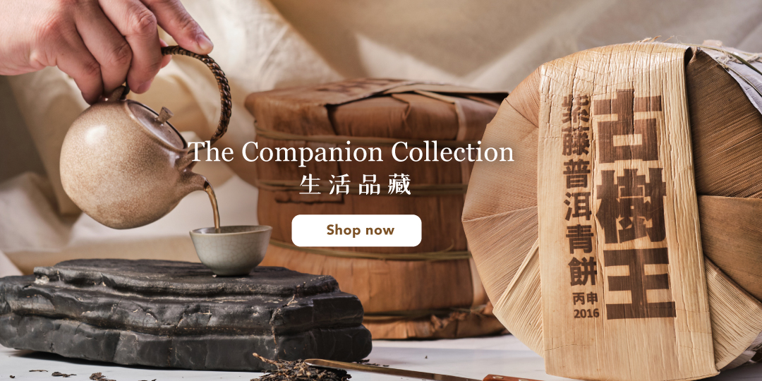 The Companion Collection