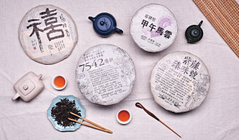  Drinkability of Puer at Different Stages