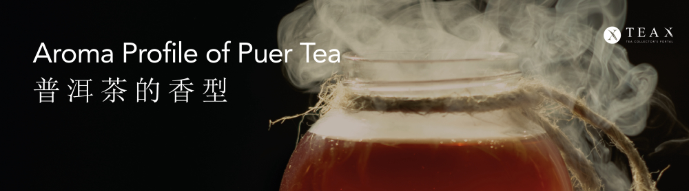 The Aroma Profiles of Puer Tea
