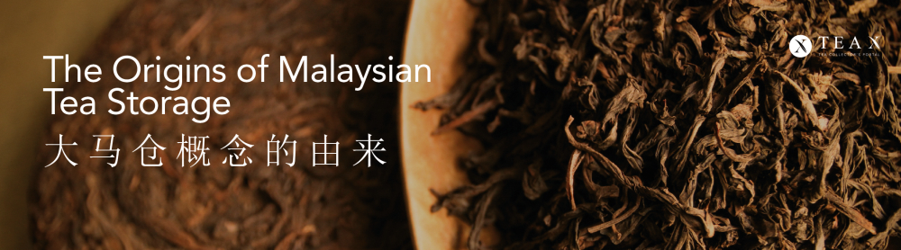The Origin of Da Ma Cang (Malaysian Tea Storage)